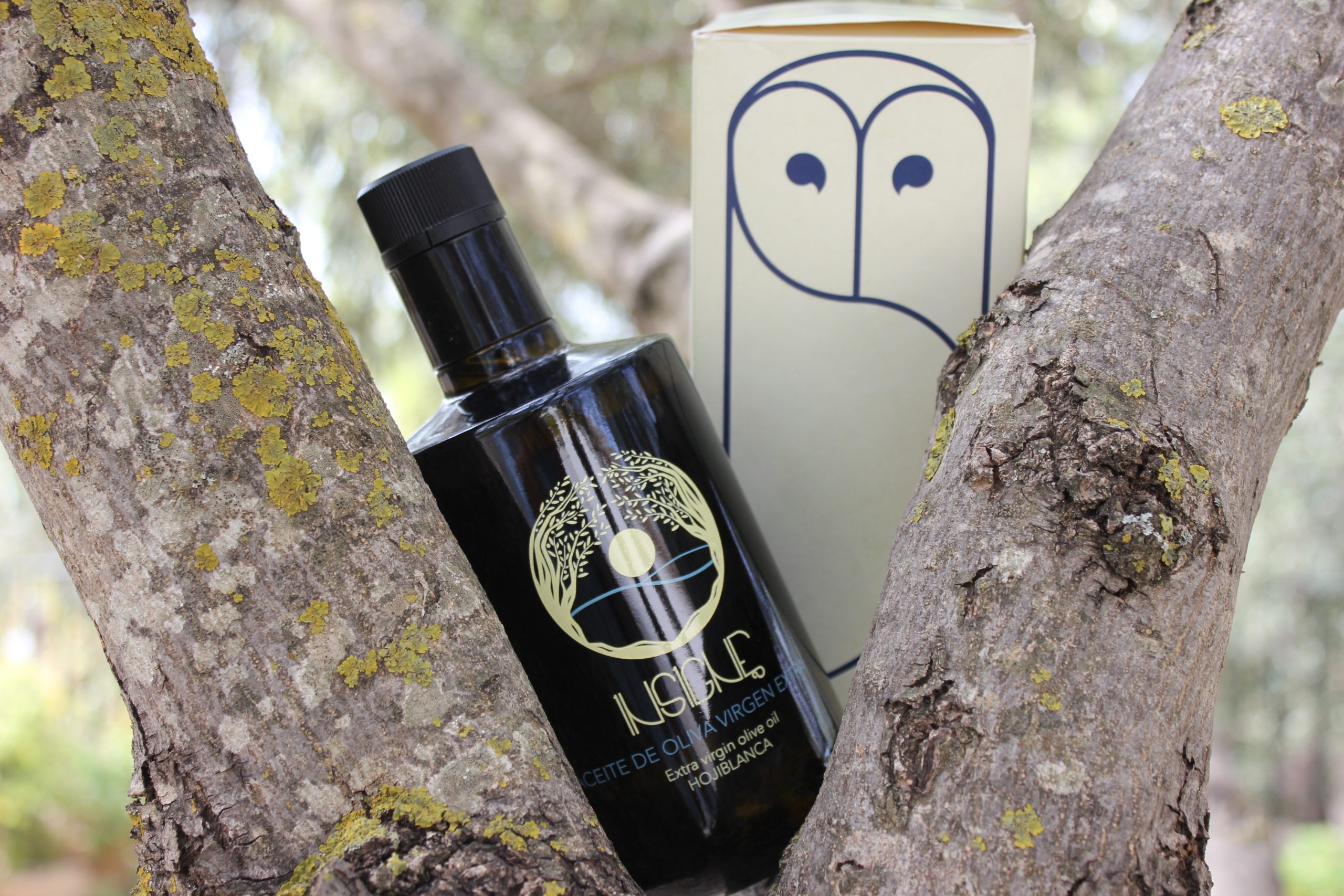 INSIGNE AOVE Hojiblanca 500ml - Estuche Individual