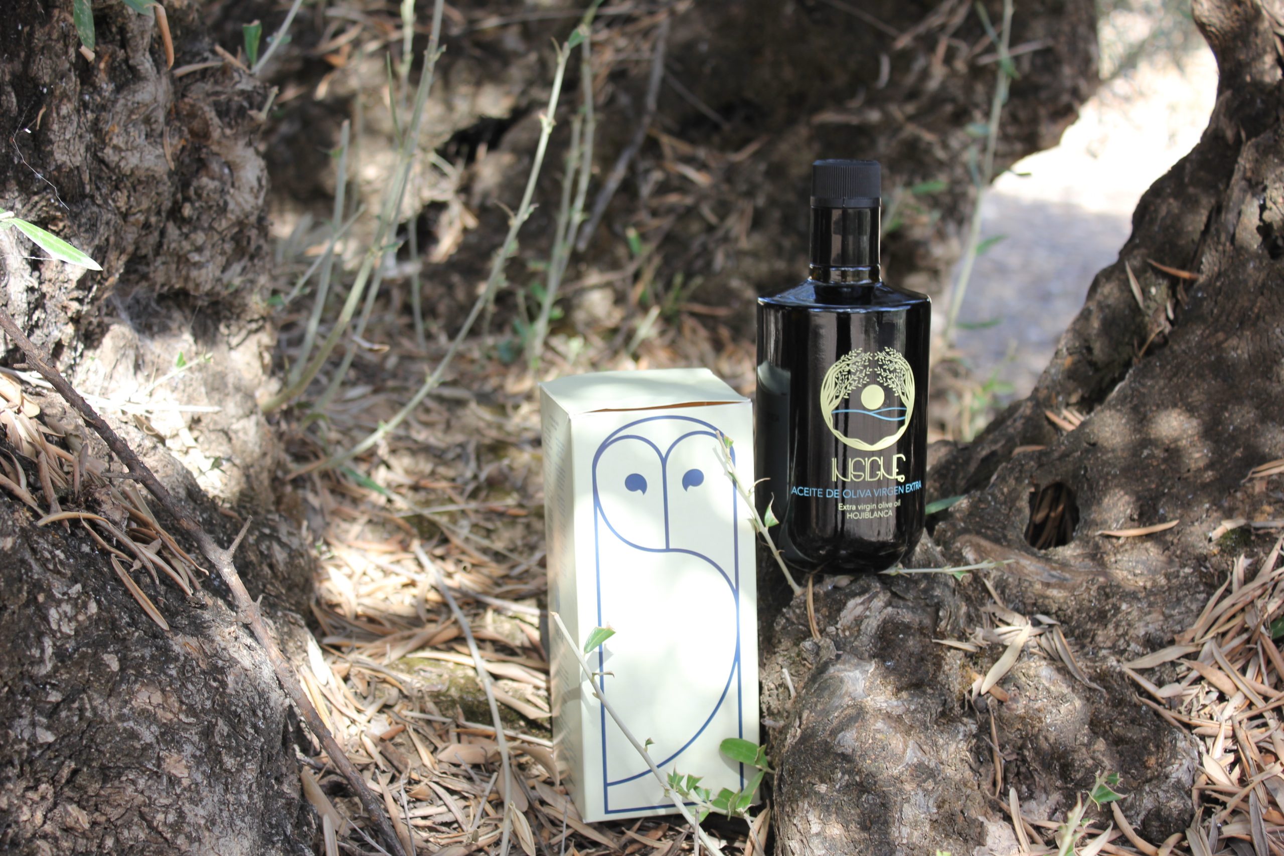 INSIGNE AOVE Hojiblanca 500ml - Estuche Individual - Image 3