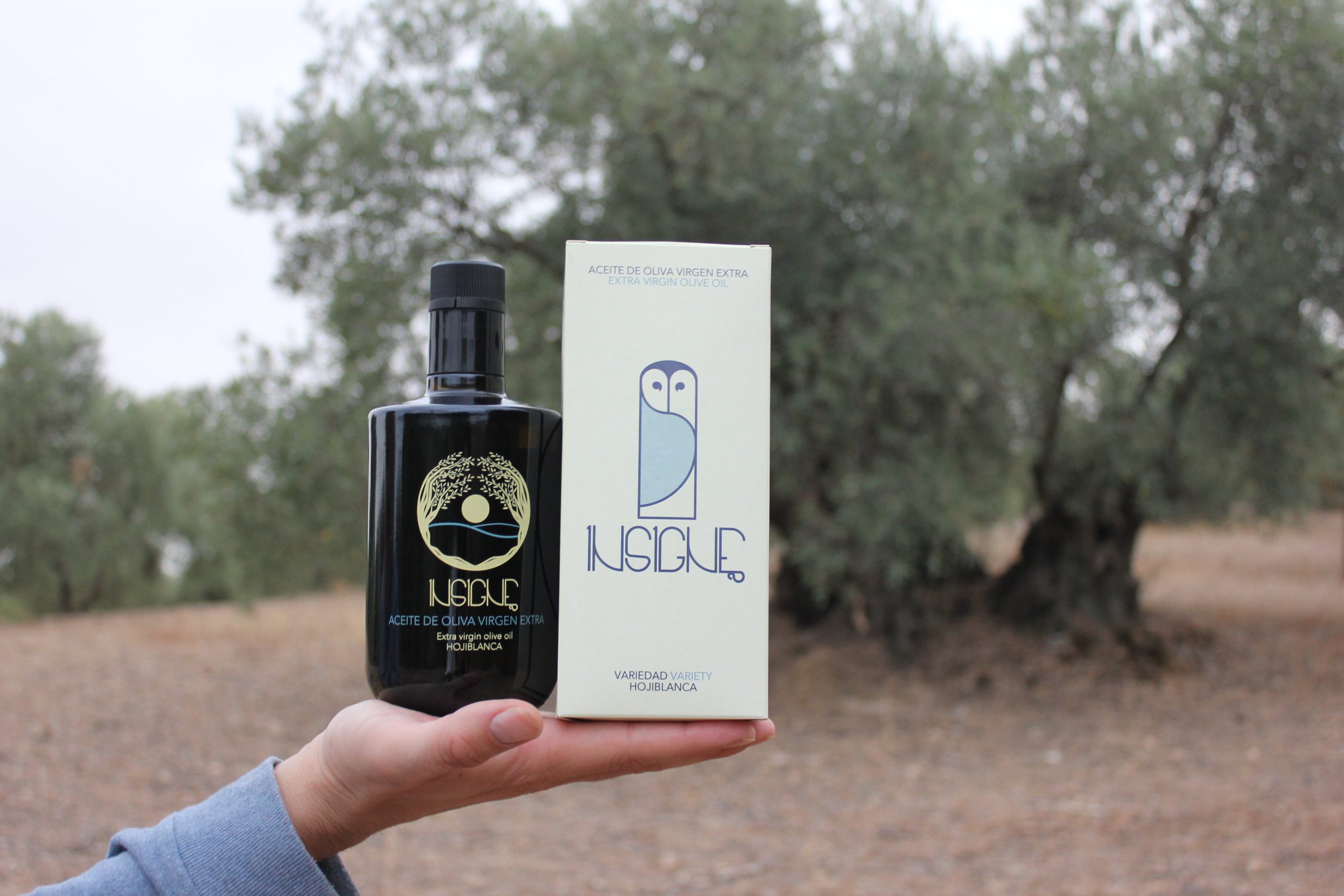 INSIGNE AOVE Hojiblanca 500ml - Estuche Individual - Image 4