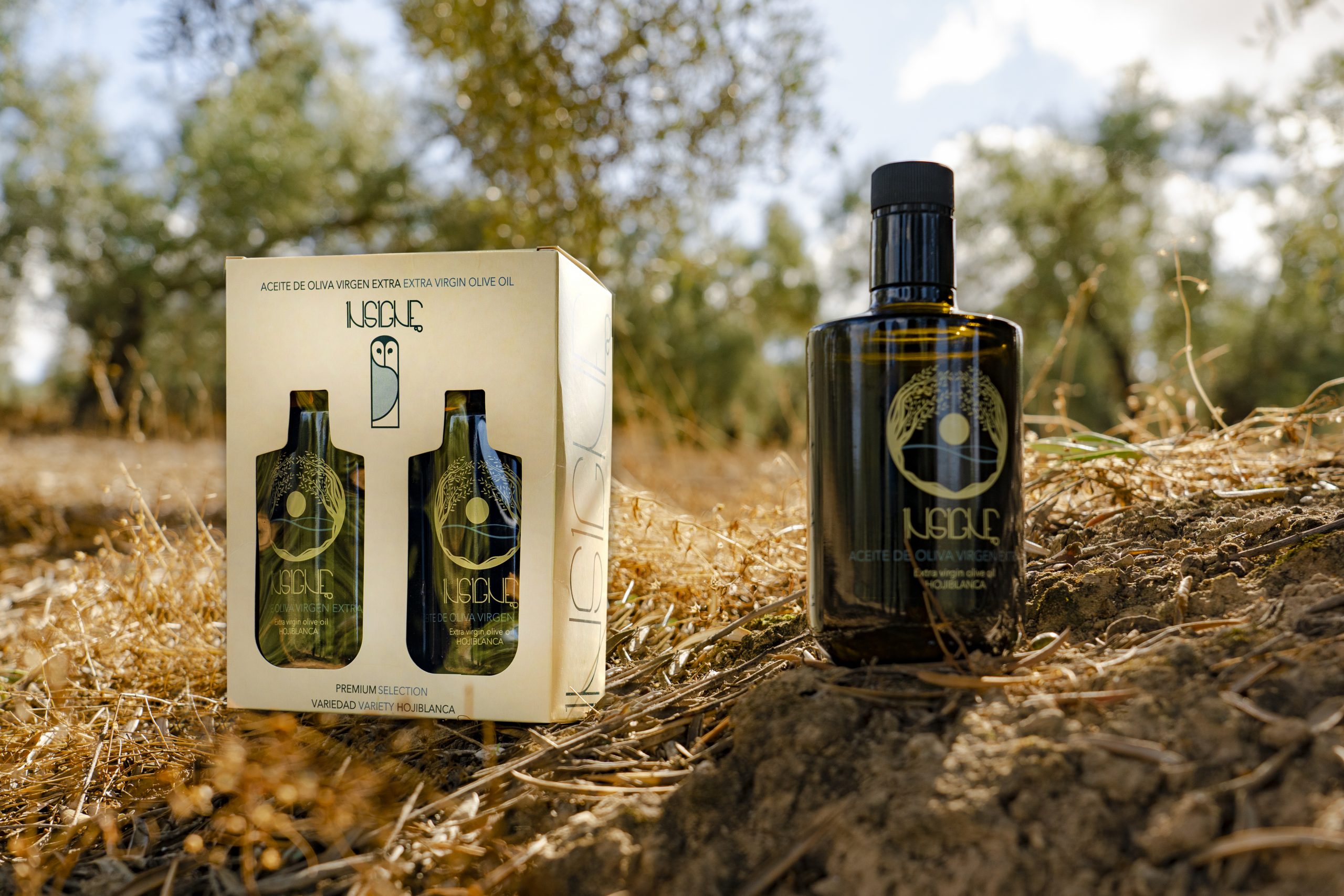 INSIGNE AOVE Hojiblanca 500ml - Estuche Doble