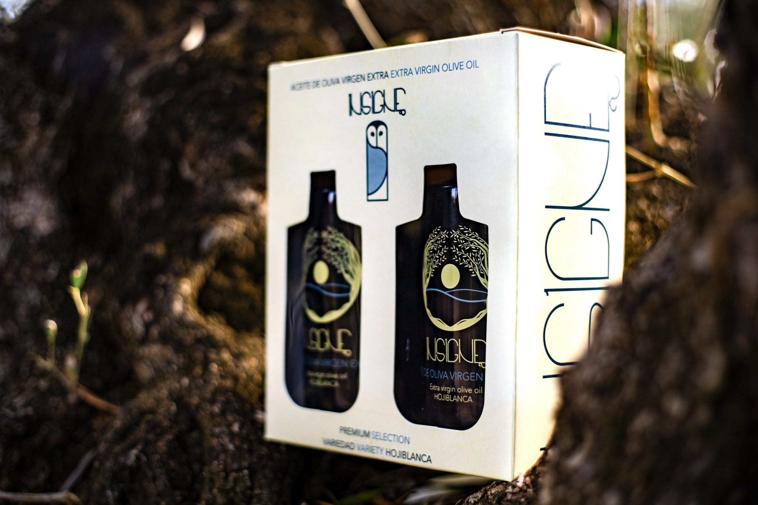 INSIGNE AOVE Hojiblanca 500ml - Estuche Doble - Image 3