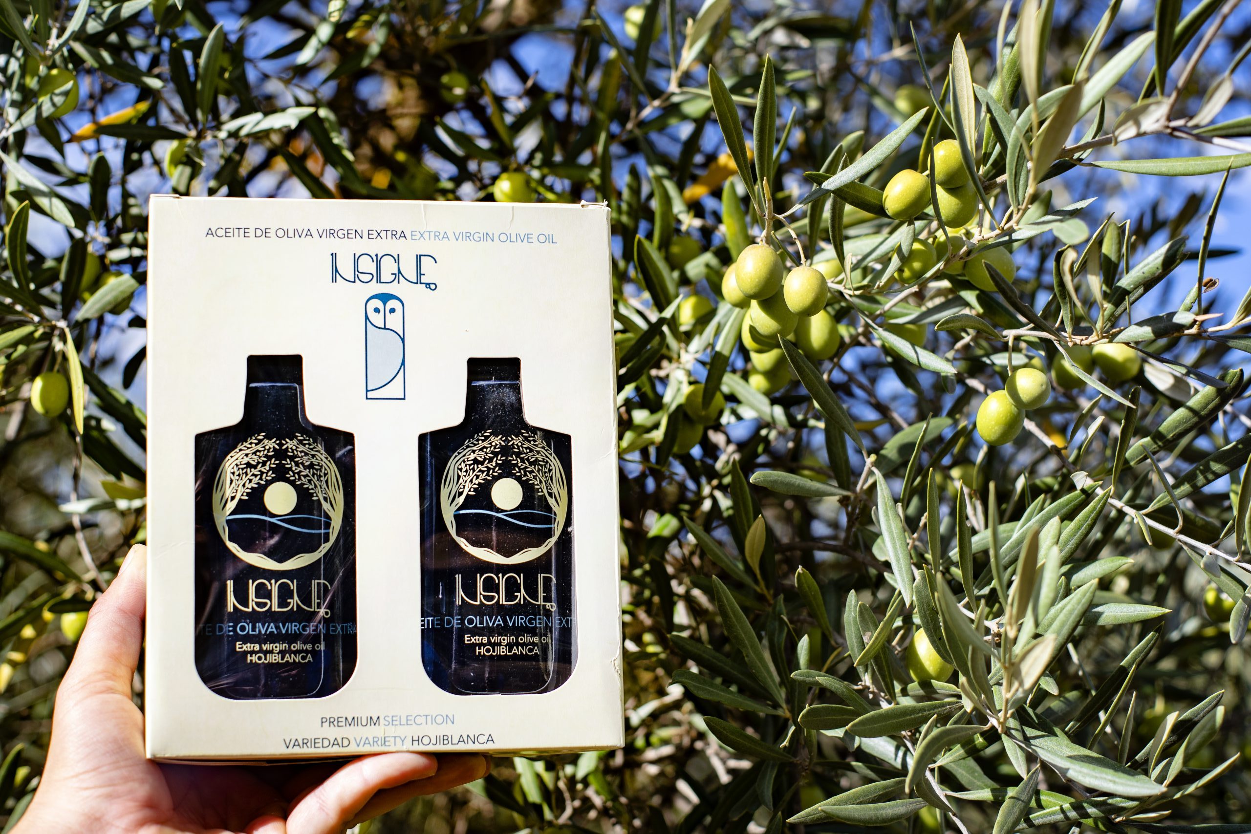 INSIGNE AOVE Hojiblanca 500ml - Estuche Doble - Image 4